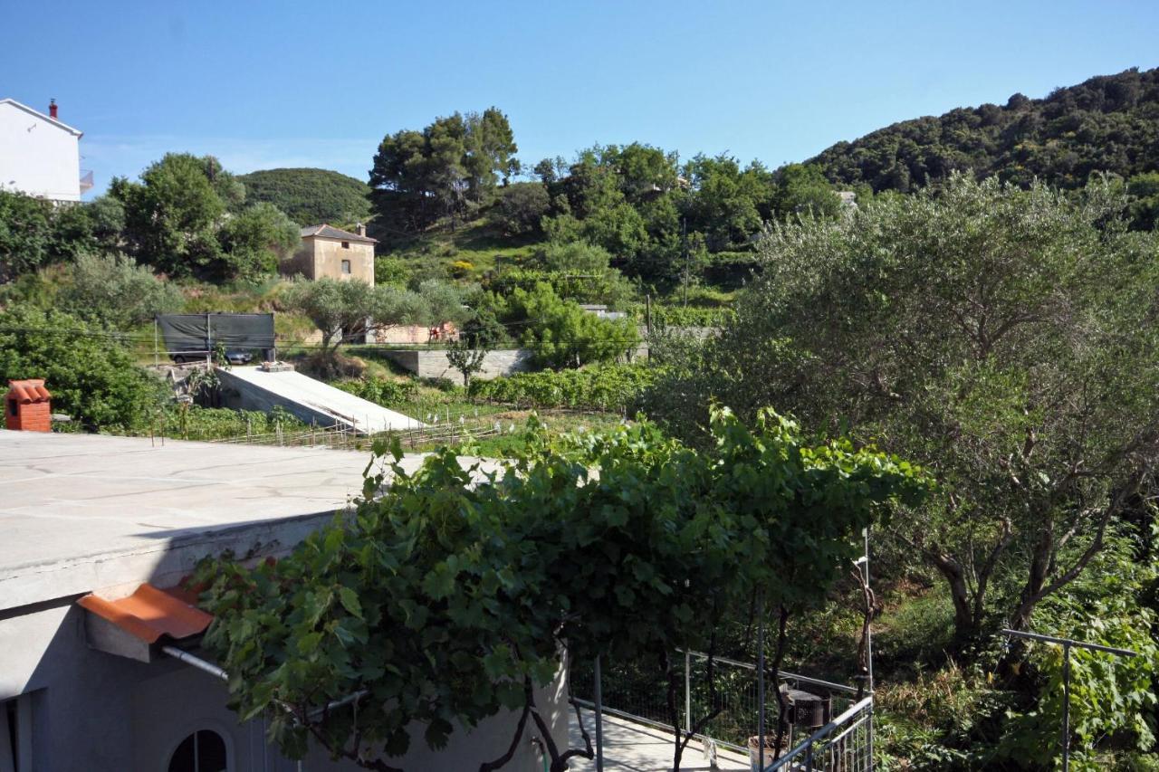Family Friendly Apartments With A Swimming Pool Supetarska Draga - Donja, Rab - 2019 Экстерьер фото